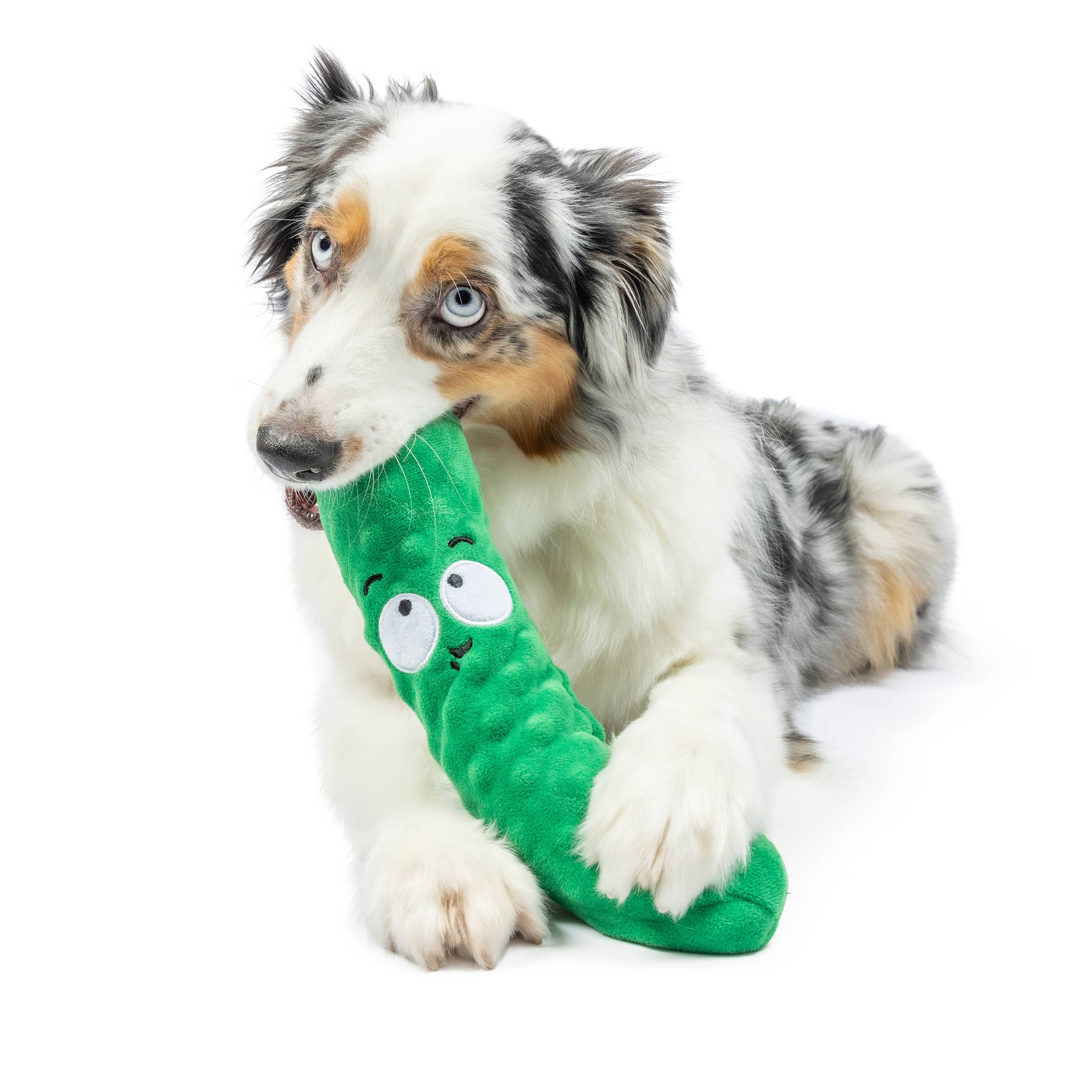 Huxley & Kent - Wholesale Pet Plush Toy - Dog - Fetchies® Dell Pickle Dog Toy1