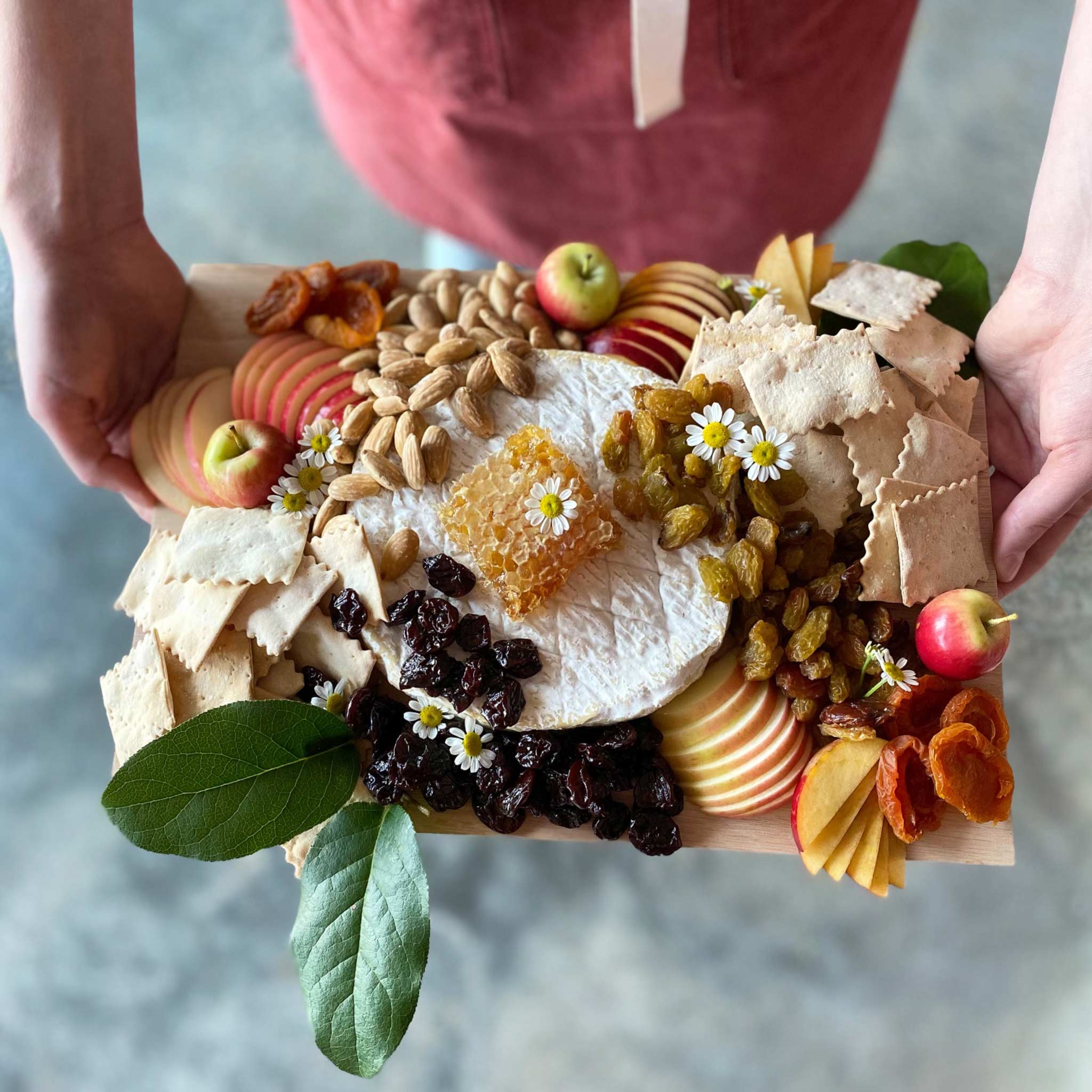 Rustic Bakery - Wholesale Crackers - Family Packs - BITES Olive Oil & Sea Salt  - 1 Box3