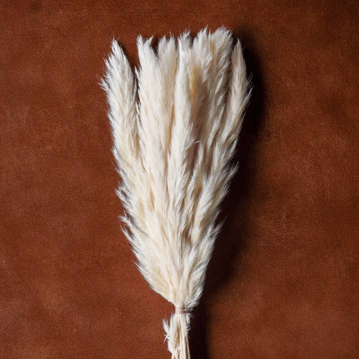 Blue Ocean Traders - Wholesale Dried/Pressed Flowers - Mixed Dried Grasses and Florals Bleached, 20"