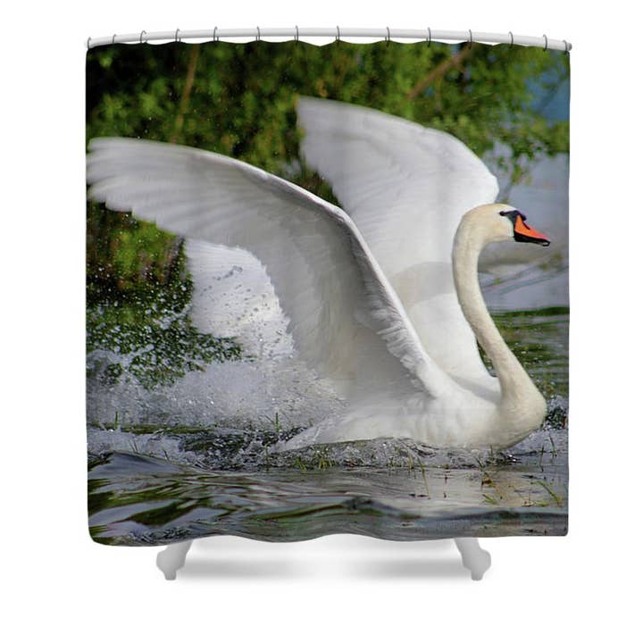 CORTINA DE DUCHA THE SWAN'S RACE START para venta al por mayor de sorayadapuzzostore