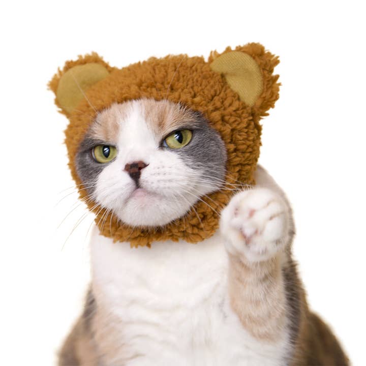 Clever Idiots Inc. - Vendita all'ingrosso Costume da carnevale - Gatti - Kitan Club - Cuffia per gatti, motivo: orso