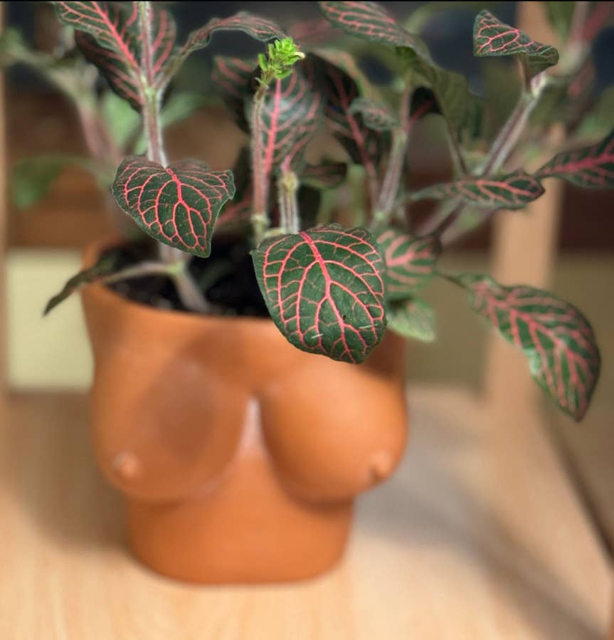 Simply Supplied Co – wholesale Kruka – Boob Kruka | Terrakotta Kruka | Roliga Bröst Kaktus Unik2