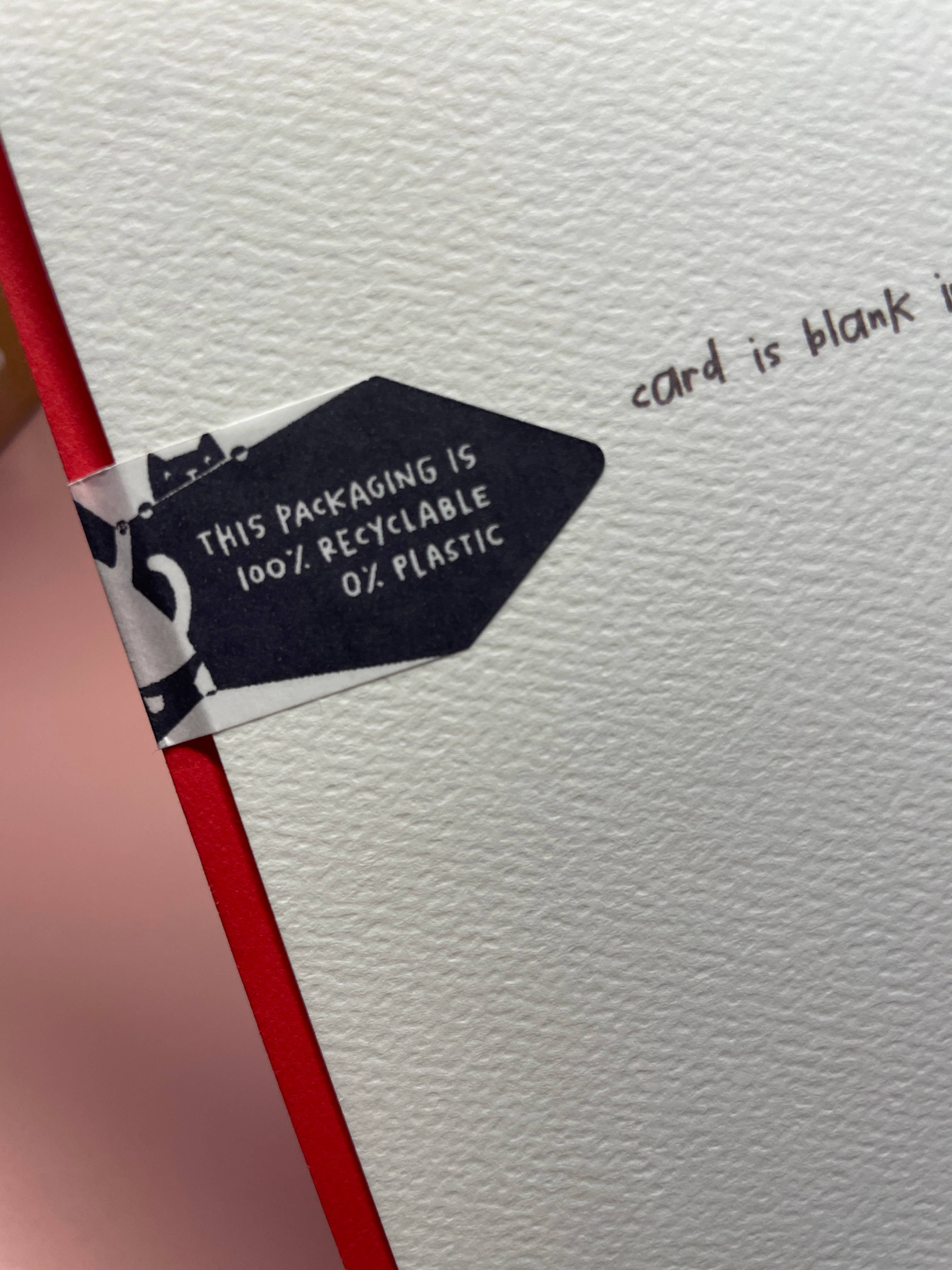 studio vcky - Wholesale Birthday Card - Greeting Card - Pinwheel Bear2