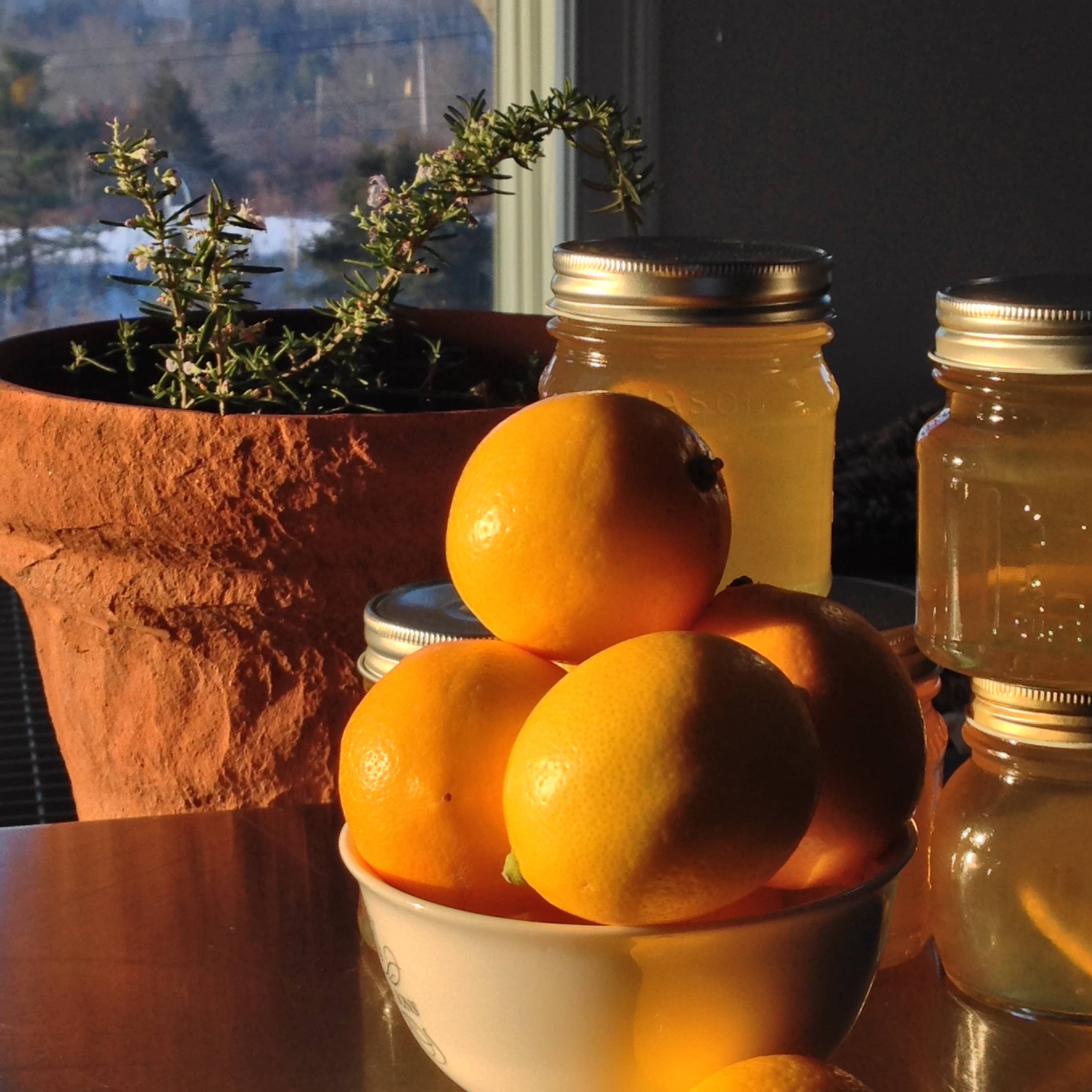 les collines - Wholesale Jam/Jelly - Meyer Lemon Rosemary Jelly5