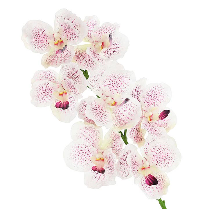 RC Home Decor - Wholesale Artificial flowers - 31" - Speckled Pink Orchid Artificial Stem –1