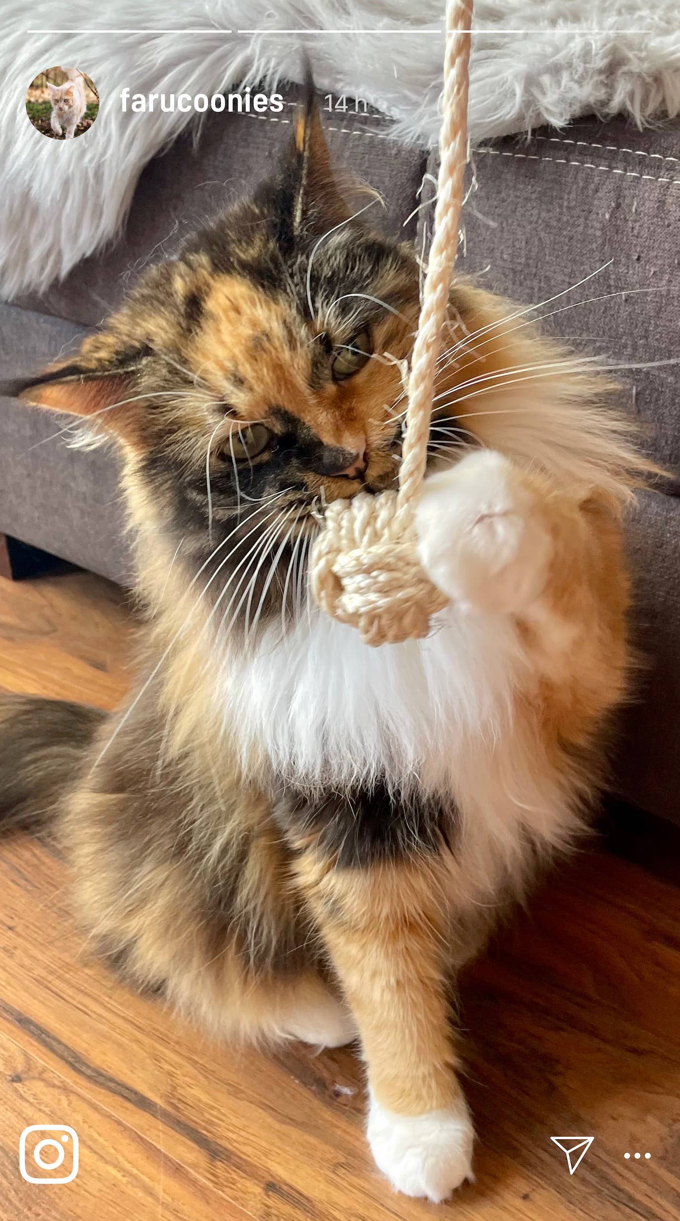 Kater Kasimir - Wholesale Pet Toy - Cat - cat balls made of cork and natural feathers or real sheepskin9