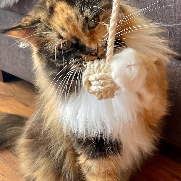 Kater Kasimir – wholesale Leksak - Katt – kattbollar av kork och naturliga fjädrar eller äkta fårskinn9