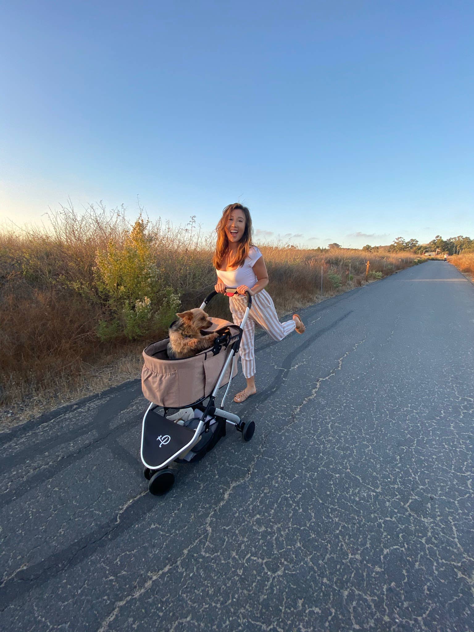 Petique - Wholesale Pet Carrier - Cat/Dog - Newport Pet Stroller (3-in-1 Travel System)14