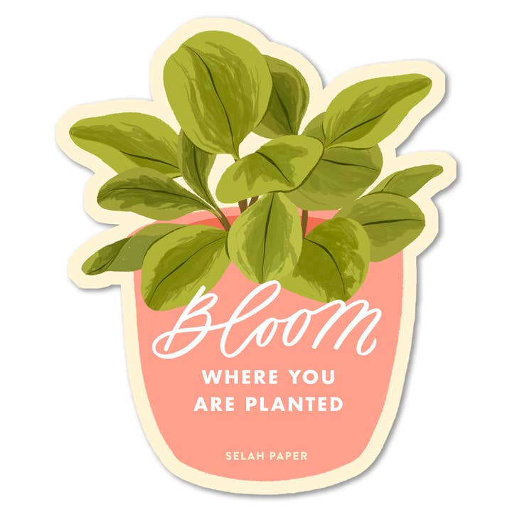 Bloom waar je bent geplant Sticker voor wholesale door Selah Paper