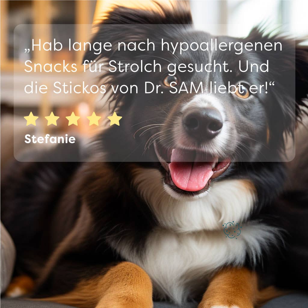 DrSAM - Vendita all'ingrosso Snack - Cani - Horses Sticko's snack sani per cani5