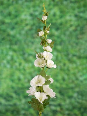 Artificial White Hollyhock for wholesale by Mezu Silk Flowers