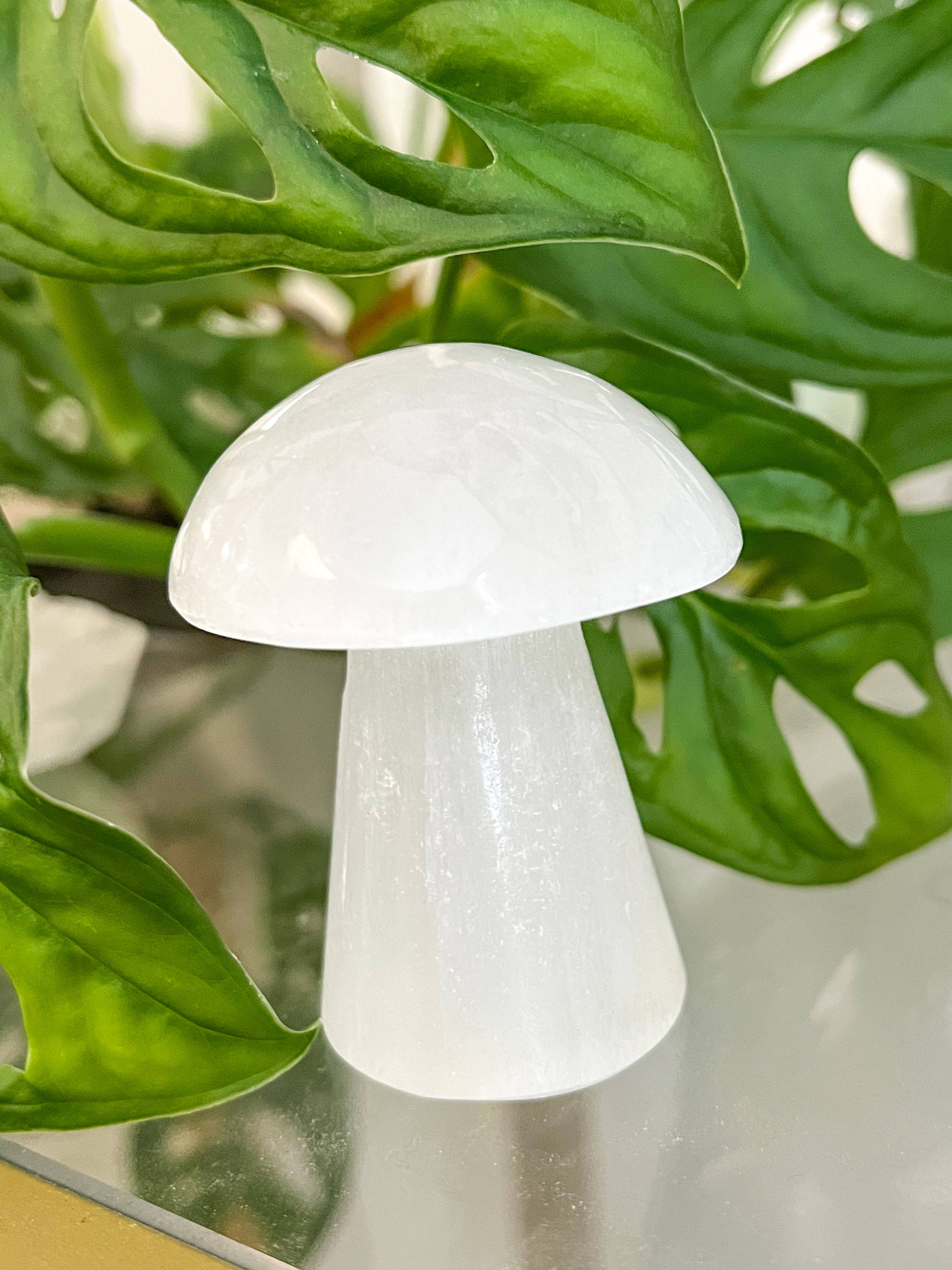 Fractalista Designs - Wholesale Spiritual Stone/Crystal - $3 White Selenite Crystal Mushroom Decor Mother's Day Gift1
