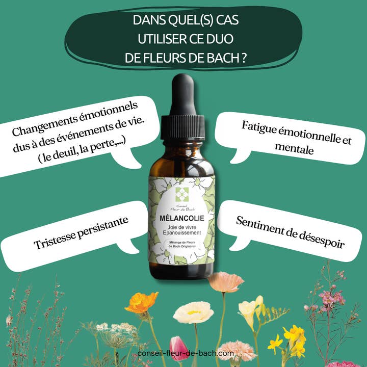 Conseil fleur de Bach - Wholesale Oral Supplement/Vitamin - Bach Flowers Melancholy3