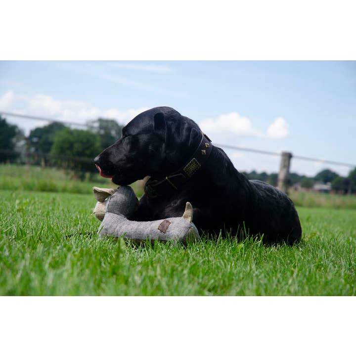 Hofman Animal Care - Wholesale Pet Plush Toy - Dog - Landhond Buddy2