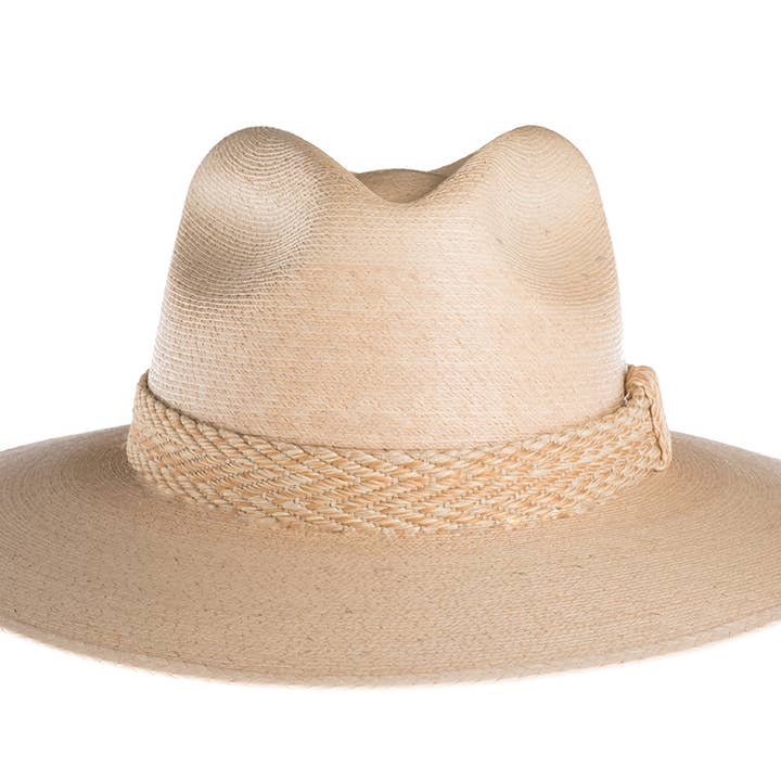 Vela for wholesale by ASN