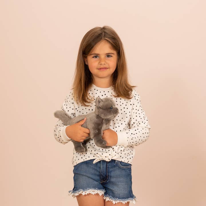 Teddy Hermann - Wholesale Stuffed/Plush Toy - Kids & Baby - Carthusian cat standing 20 cm - plush toy - soft toy1
