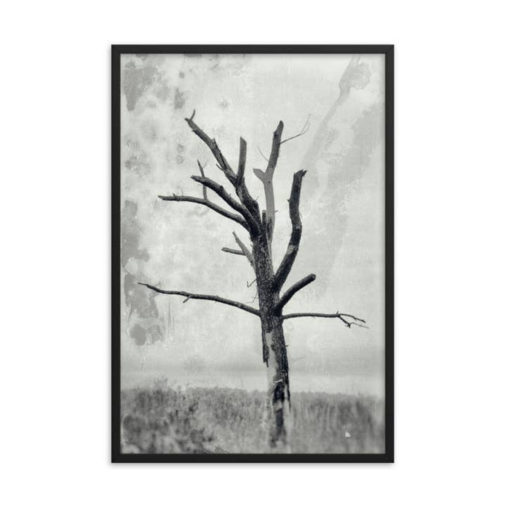 Rotting Away Alone Fotorahmen mit botanischem Motiv, schwarz-weiß für den Großhandel von Pipa Wall Art & Home Decor