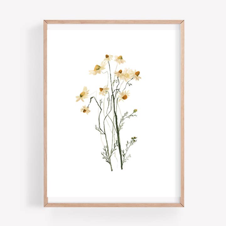 Impression d'art aquarelle à la camomille pour la vente par Farmcliff Studio