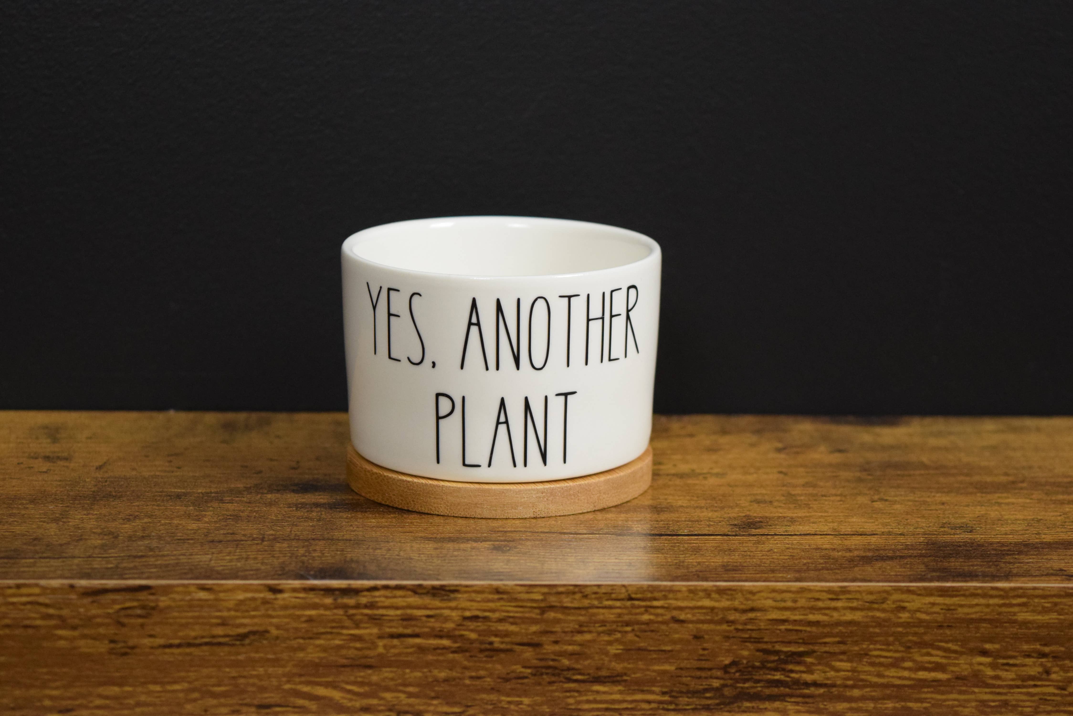 Vulpine Vinyls - Vendita all'ingrosso Vasi per piante - Vaso divertente per succulente « Yes, Another Plant », mini vaso da 3 pollici (7,95 cm)2