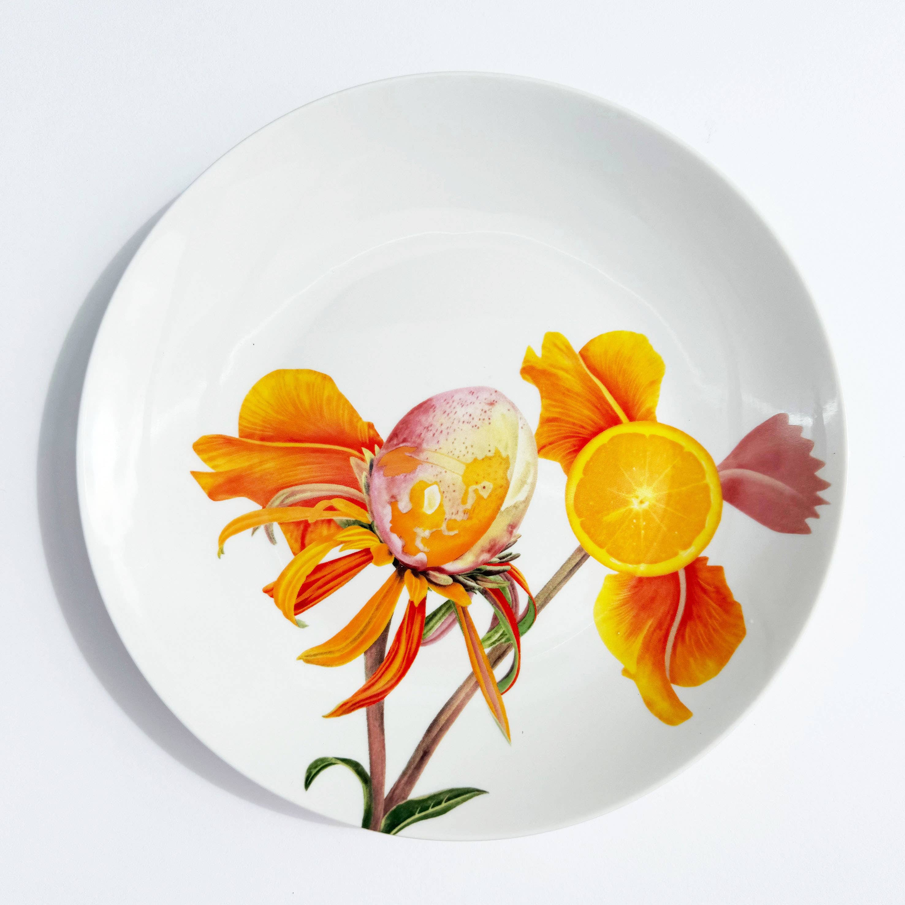 Bordy's - Wholesale Dinner Plate - Botanical Wonders - Set of 4 Breakfast Plates6