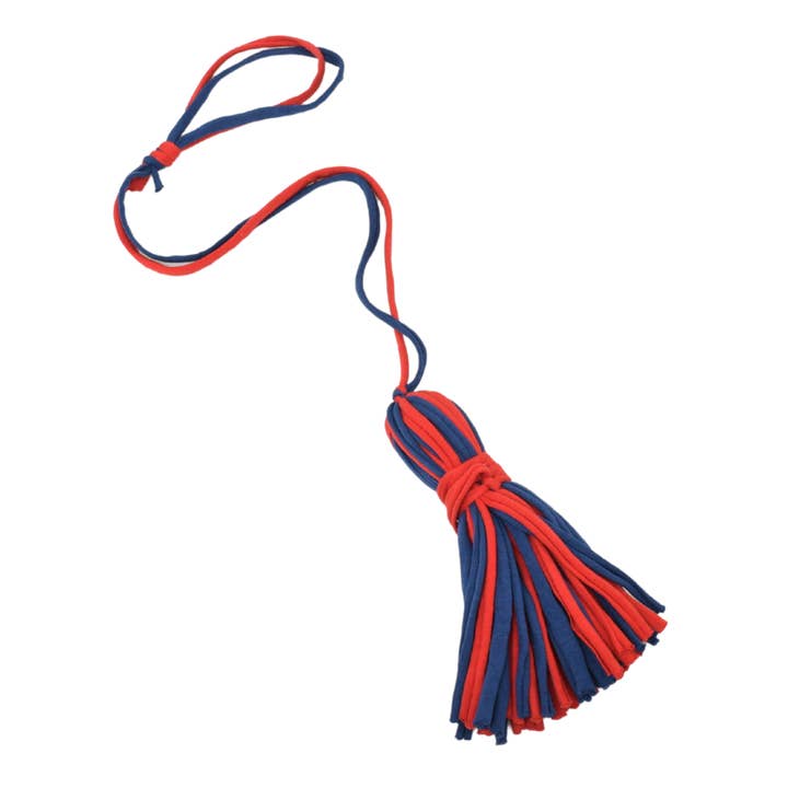 Shreds + rerope - Vente Jouet en corde – chien - Jouets ReRope Game Day Spider pour chats, paquet de 104