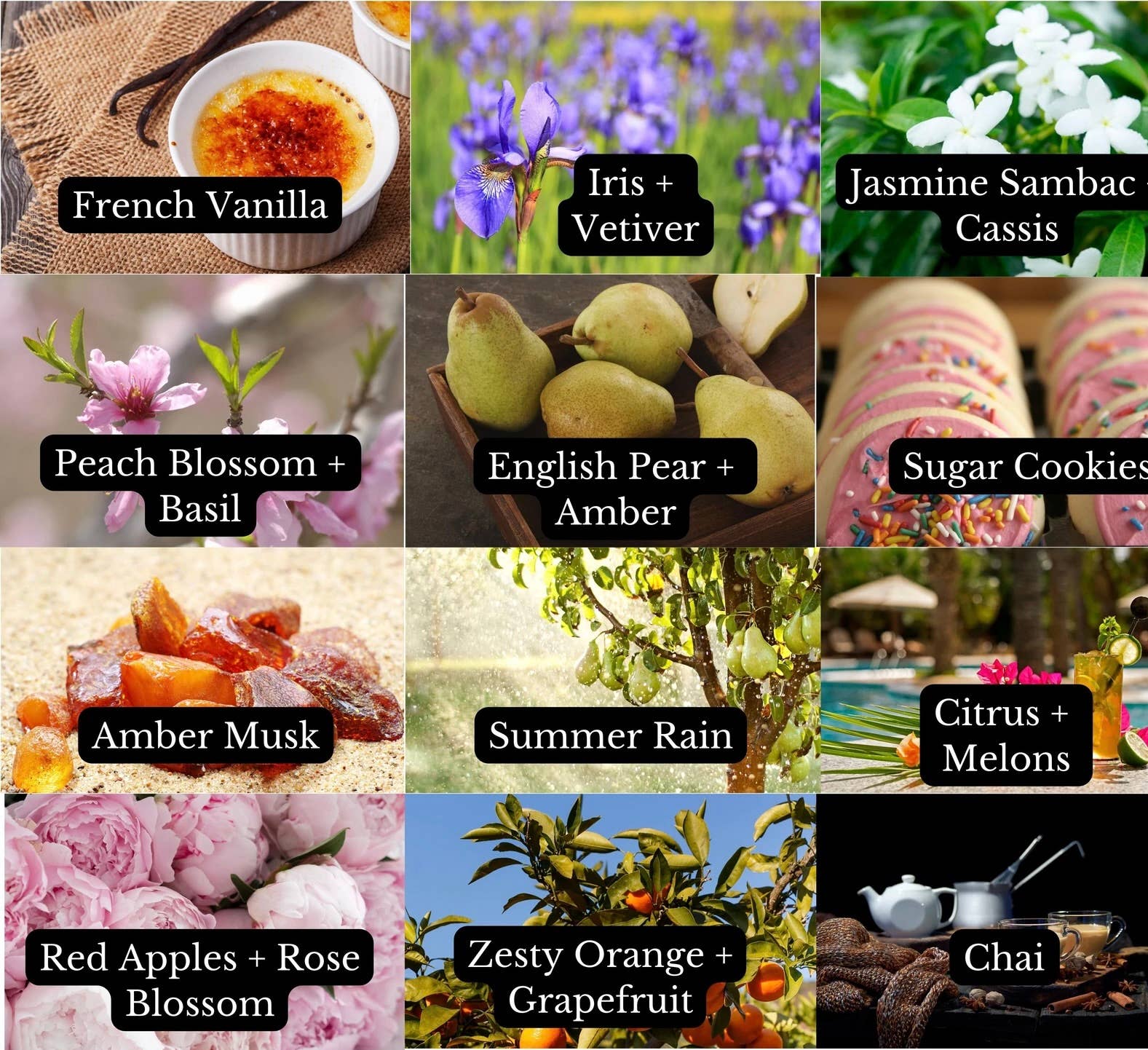 A Pleasant Thought - Wholesale Car Freshener - Unisex - SEASHELLS | CAR DIFFUSER6