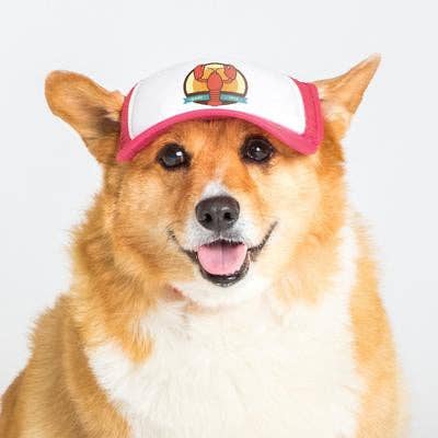 PupLid - Wholesale Pet Hat - Dog - Lobster Standard or Namedrop | Trucker Hat for Dogs4
