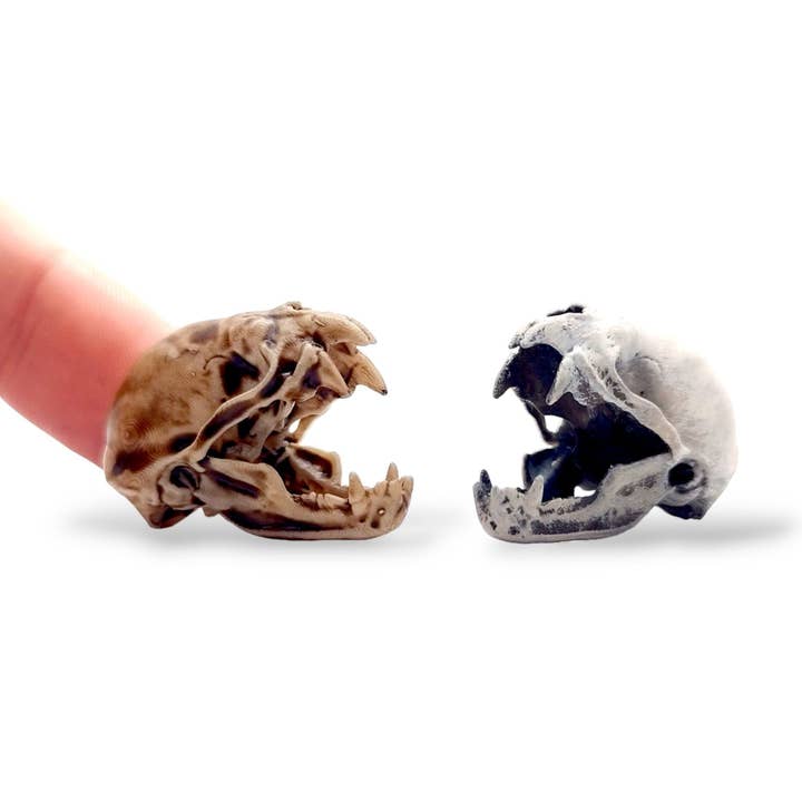 Crânio de Morcego Vampiro, Mandíbula Aberta - réplica de crânio sem crueldade 6mm - 25mm - Escala 1:1 e crânio MM, Fornecimentos de Arte e Artesanato miniatura de morcego pequeno por atacado de The Scale Grail