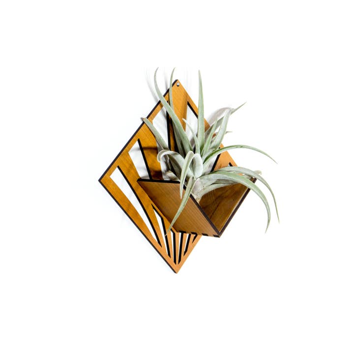 LIGHT RAZOR DESIGN STUDIO - Wholesale Wall planter - Air Plant Holder / Quadrate Wall Hanging Planter 272