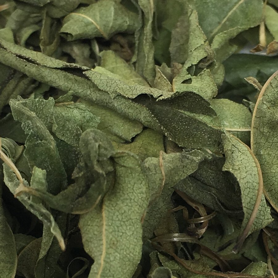 Tea Rebellion – Großhandel Loser Tee – Lemon Verbena - Kräutertee | aus Malawi | Biologisch abbaubare Tasche2