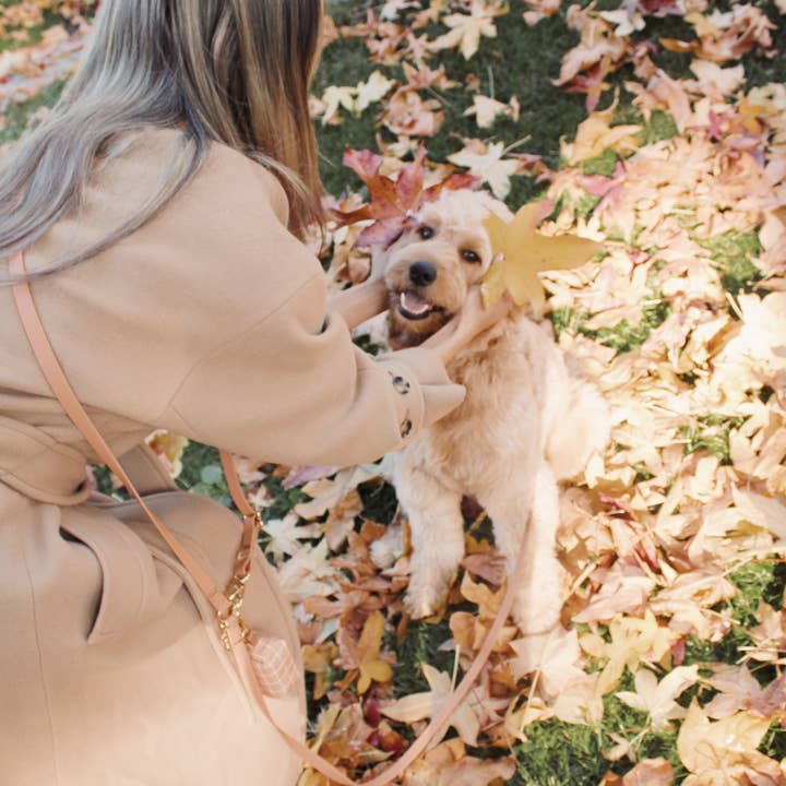 SUNNY TAILS - Wholesale Pet Leash - Dog - Chai Brown 4-in-1 Convertible Hands Free Cloud Dog Leash7