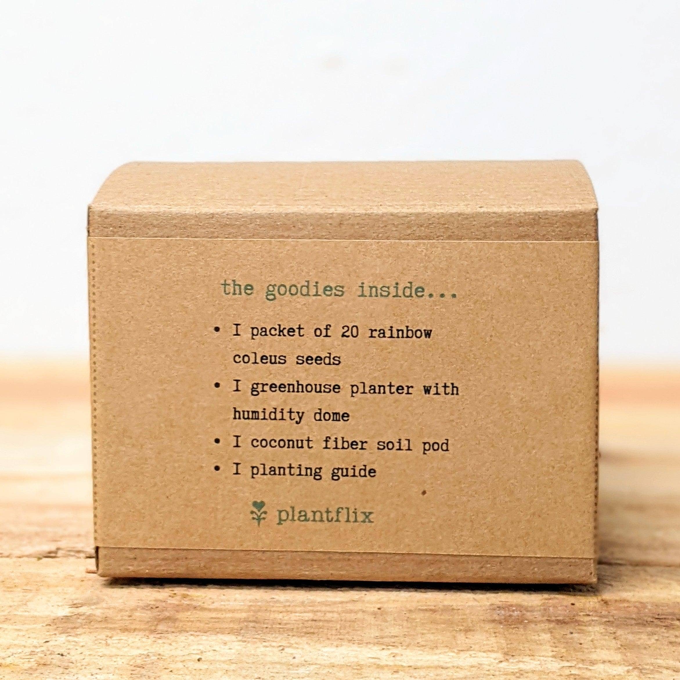 Plantflix - Wholesale Plant Seeds - Houseplant Seed Kit 12