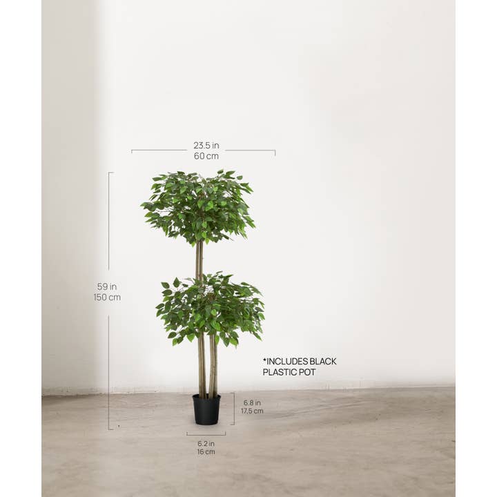 Maia Shop - Wholesale Artificial Plant - Artificial Ficus 2 Crowns 150 cm4
