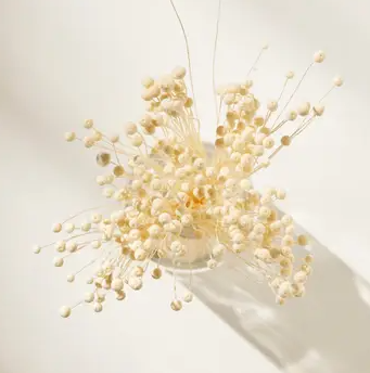 .AVPV. Studio - Vente Fleur séchée/pressée - Boutons roses séchés1