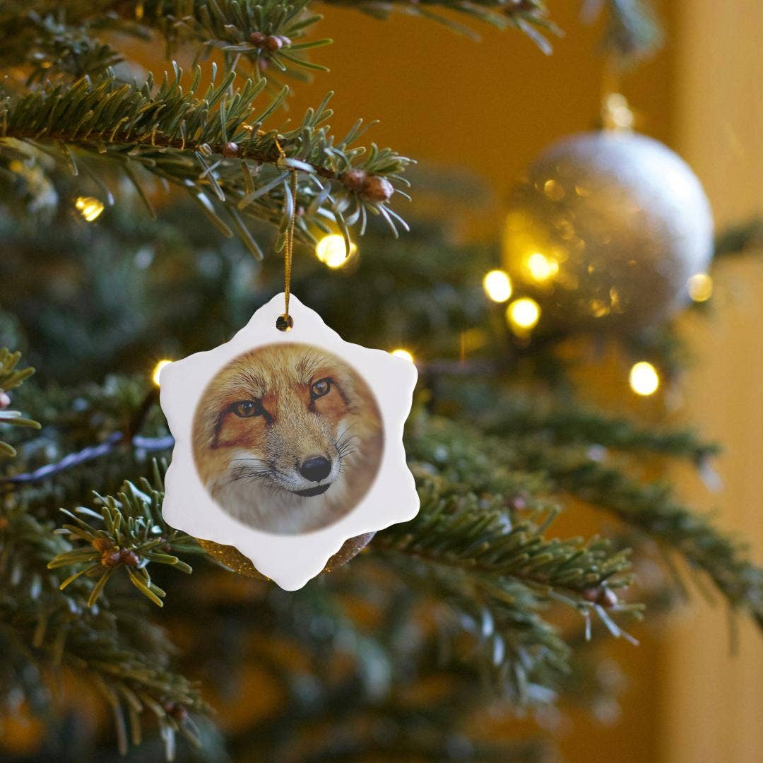 3dRose - Wholesale Ornament - 3dRose, Cute Fox Face Close Up Photo, Ornament6
