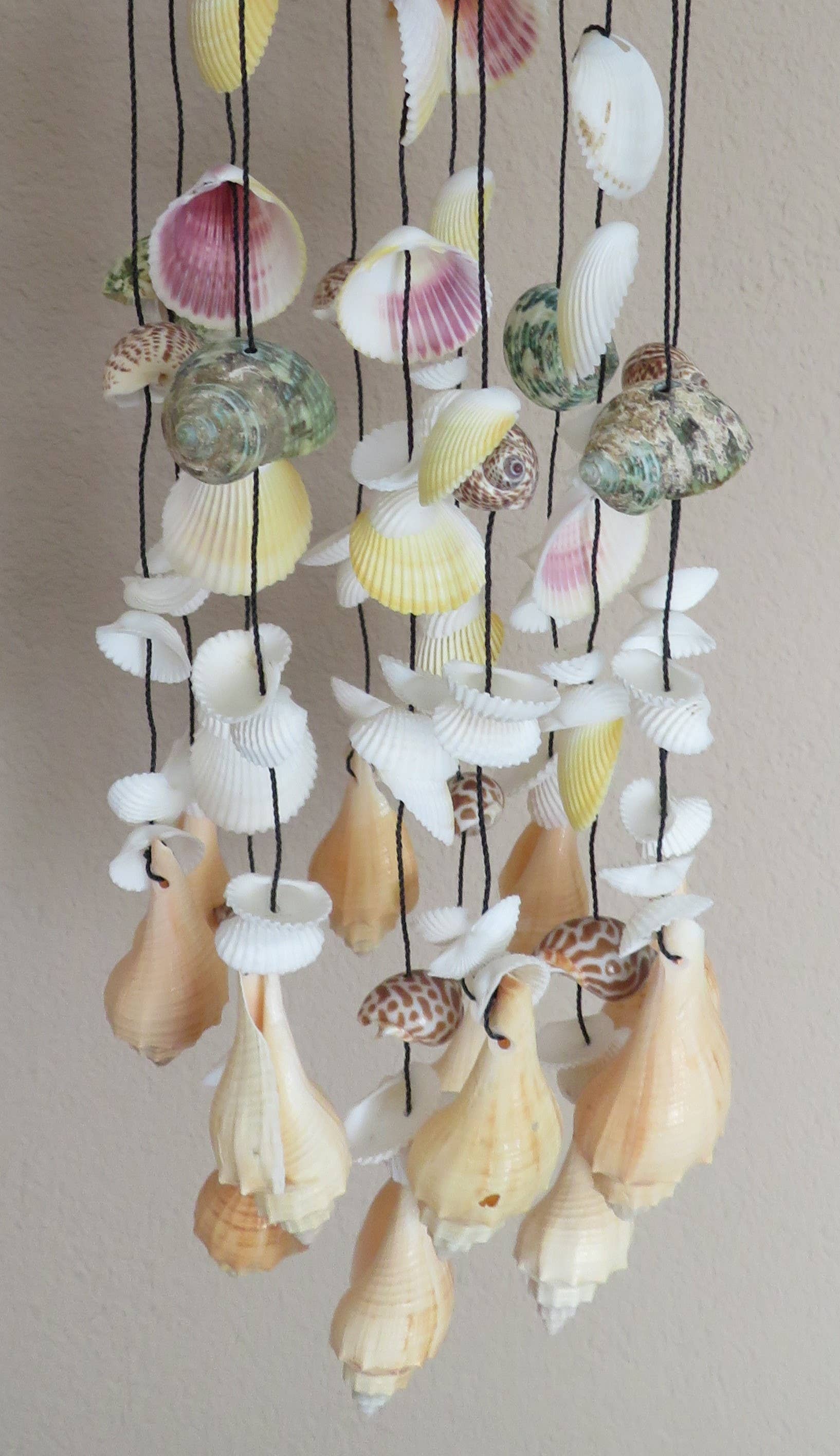 Product Import Holland - Wholesale Mobiel - Windgong batok - tropisch - decoratie - kust - schelp - 1