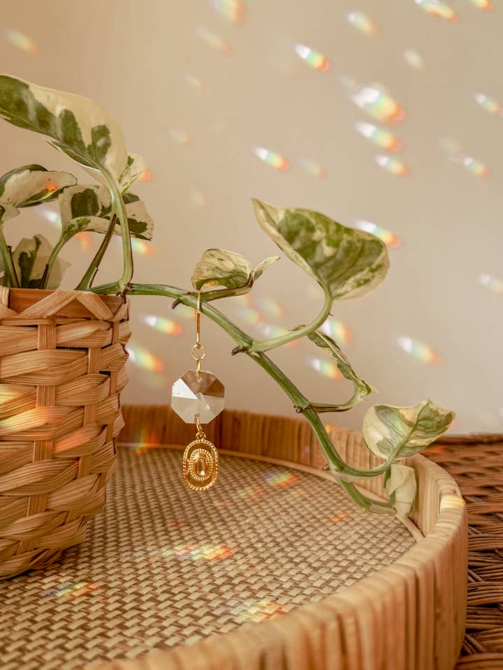 Encanto de Planta | Apanhador de Sol + Chapéu de Cowboy | Acessório para Plantas de Interior por atacado de Meraki The Studio Co.