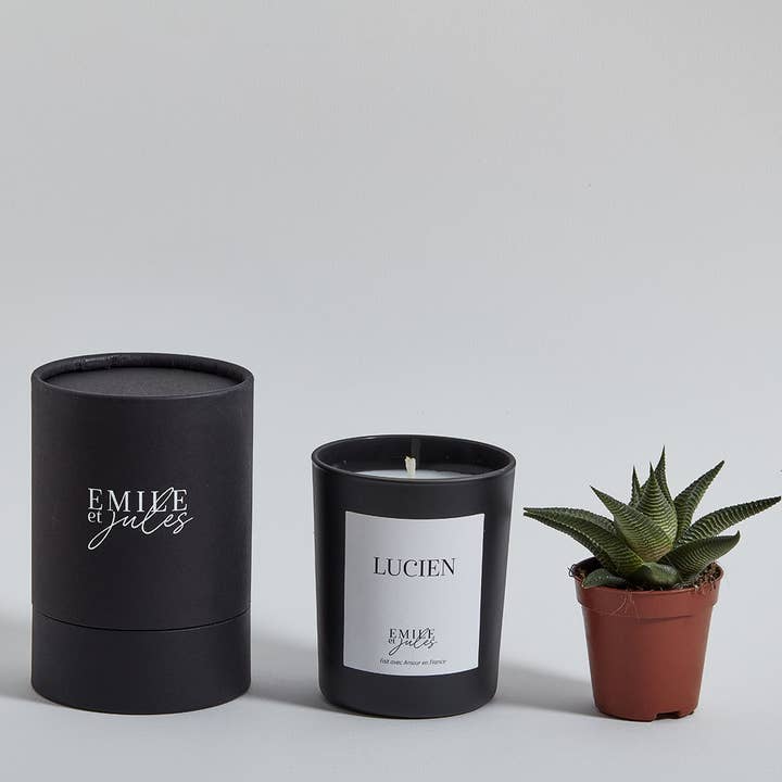 Emile et Jules - Vente Bougie en bocal - Bougie parfumée Bergamote Tabac Musc blanc + plante