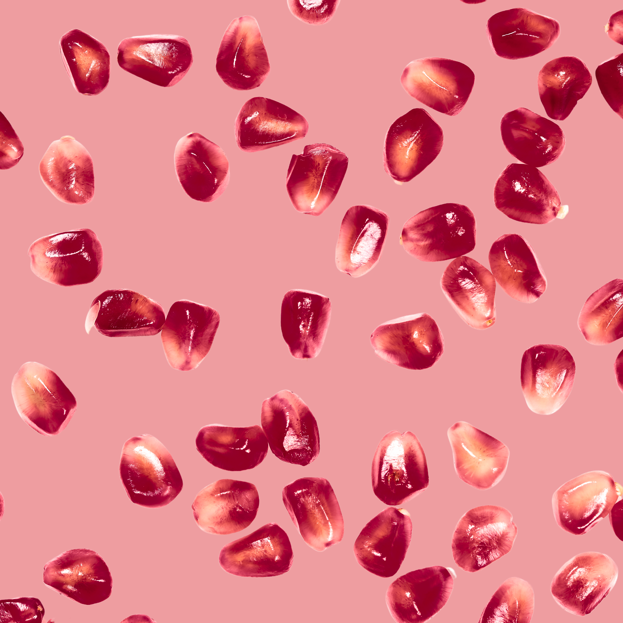 Shake Your Plants – wholesale Kombucha – Kombucha+ Pomegranate6