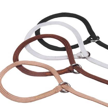 Alvalley – wholesale Halsband - Hund – Alvalley halsband med löpande ögla för utställning13