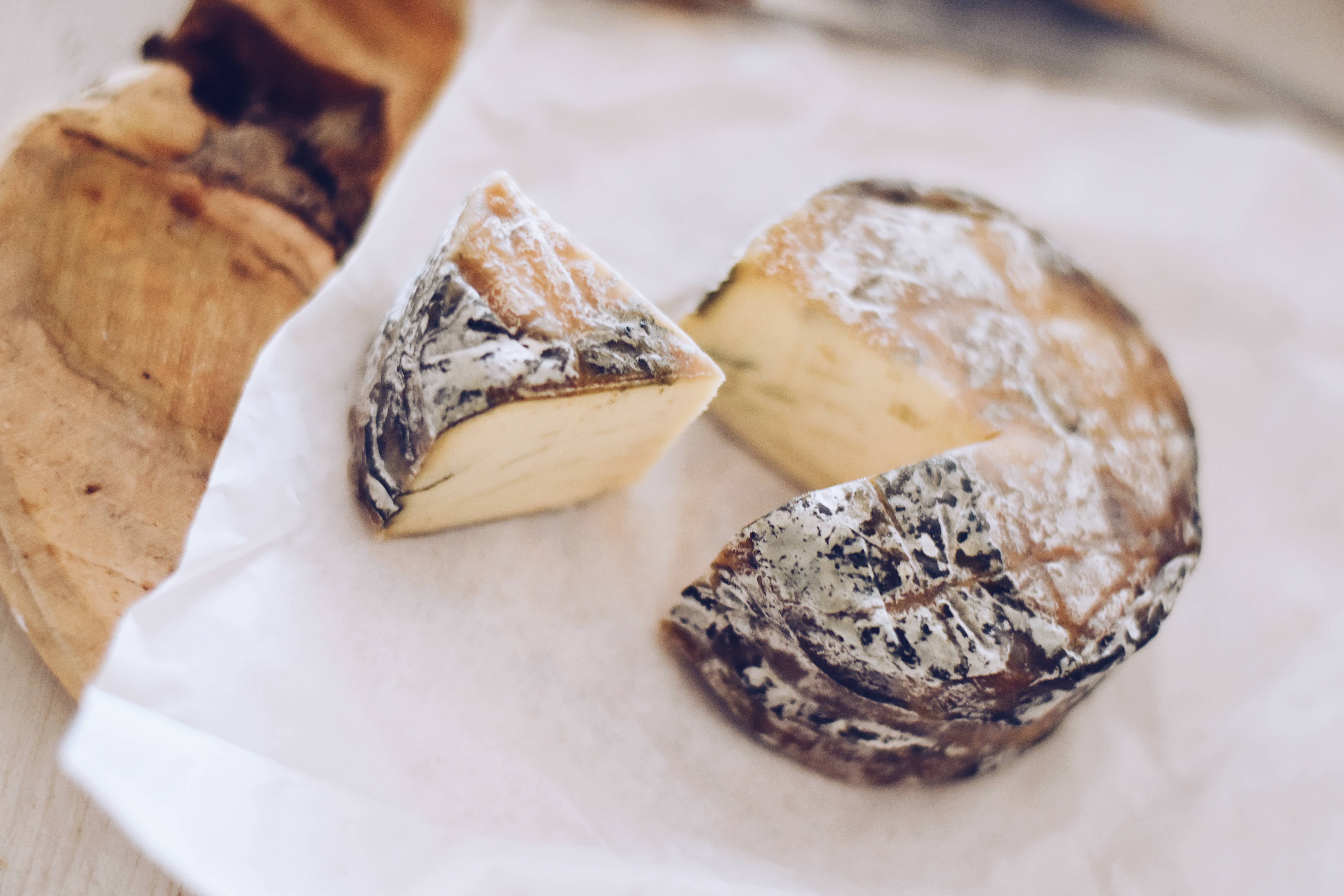 GOURMET VEGAN S.L - Wholesale Cheese - NO CHEESE FORTE AZUL PLANT BASED1