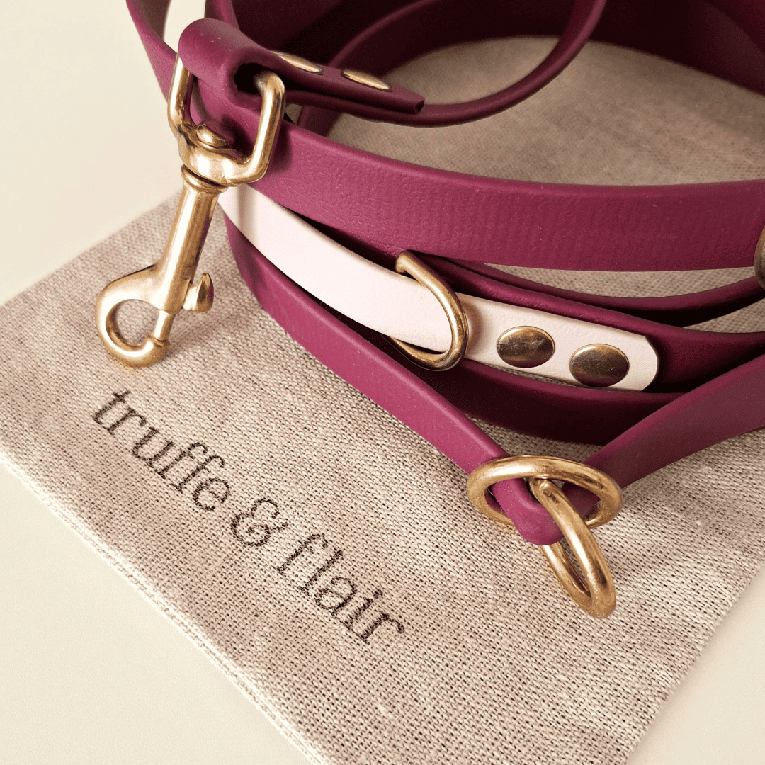 Truffe & Flair - Wholesale Pet Leash - Dog - Dog multi-position leash - Biothane - Raspberry1