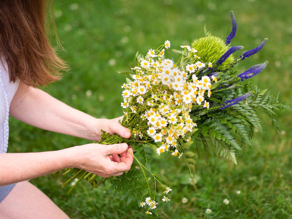 Petal People Press - Wholesale Everyday Greeting Card - Bookworm3