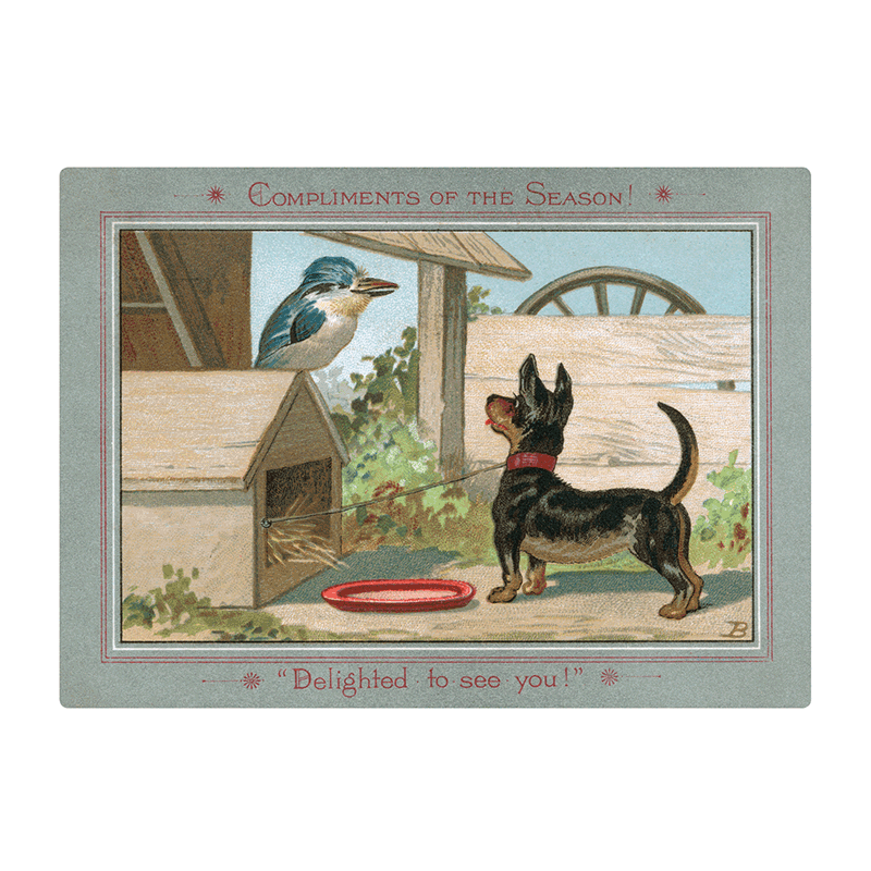 Laughing Elephant - Wholesale Postcard - We Wish You a Crazy Christmas Postcard Book -  Postcards21