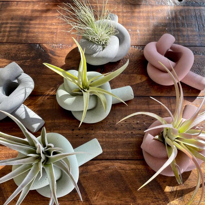 Sage Planta - Vendita all'ingrosso Vasi per piante - Supporto per piante pneumatiche in cemento Knot1