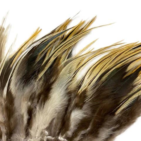 Zucker Feather Products – wholesale Hantverkstillbehör – Badger Rooster Sadelfjädrar Strängda - 2 ”Remsa av 4-6"