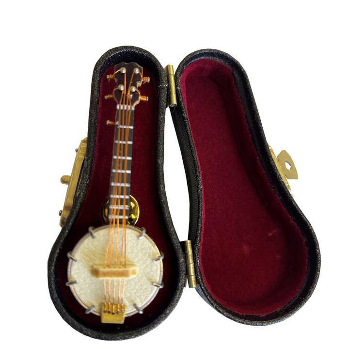 Banjo Pin with Case for wholesale by Broadway Gifts Co