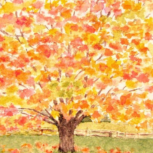 STAMPA IN ACERO DEL VERMONT per la vendita all'ingrosso da parte di Shanley Triggs Art