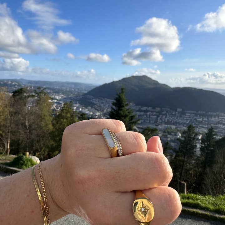 DRIP JEWELRY - Wholesale Signet Ring - Burst Signet Ring (size 6-8)8