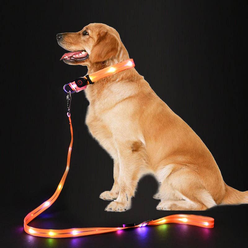 Cheerhunting - Wholesale Pet Leash - Dog - LED Dog Leash4